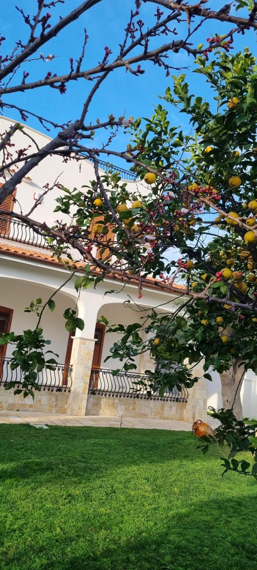 Villa Guajira Bari Extérieur photo