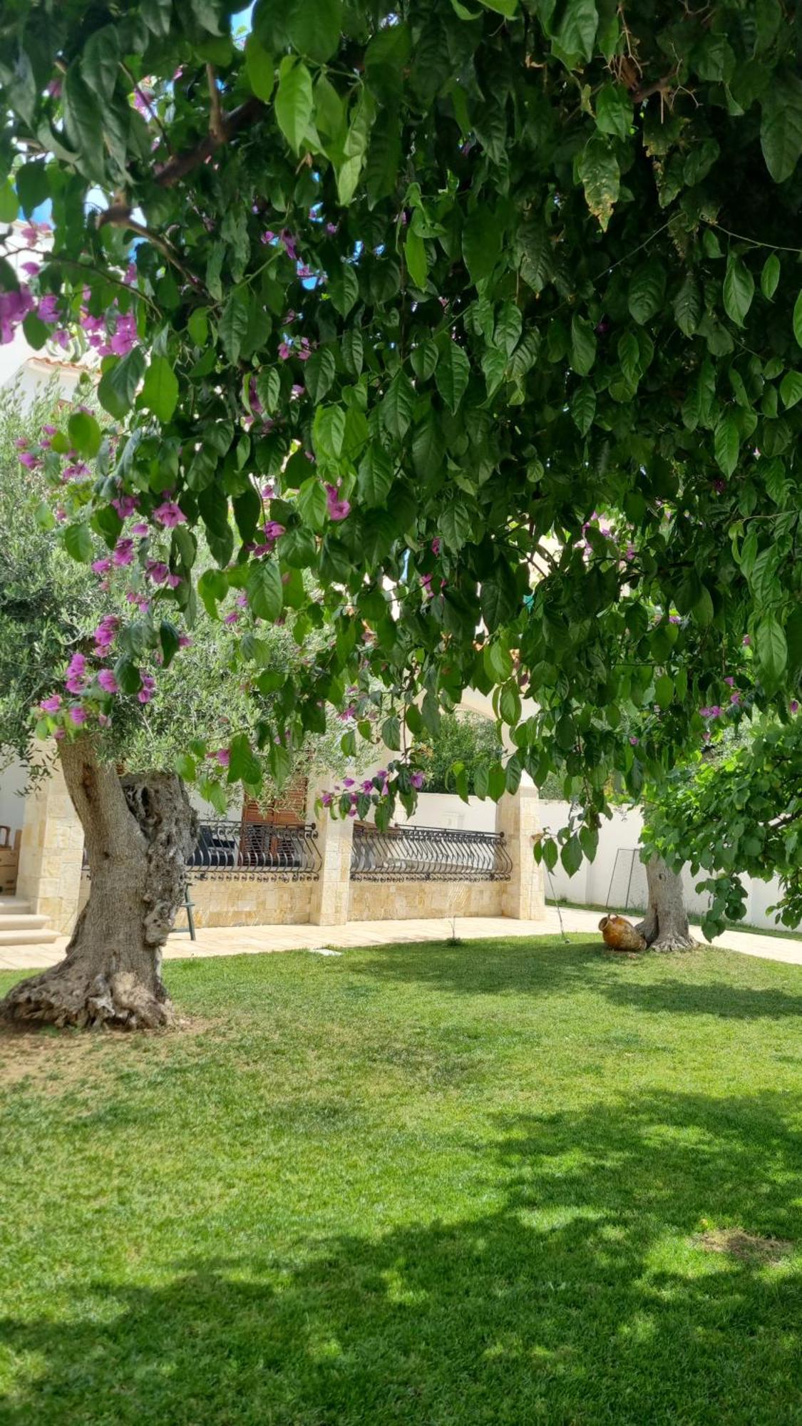 Villa Guajira Bari Extérieur photo