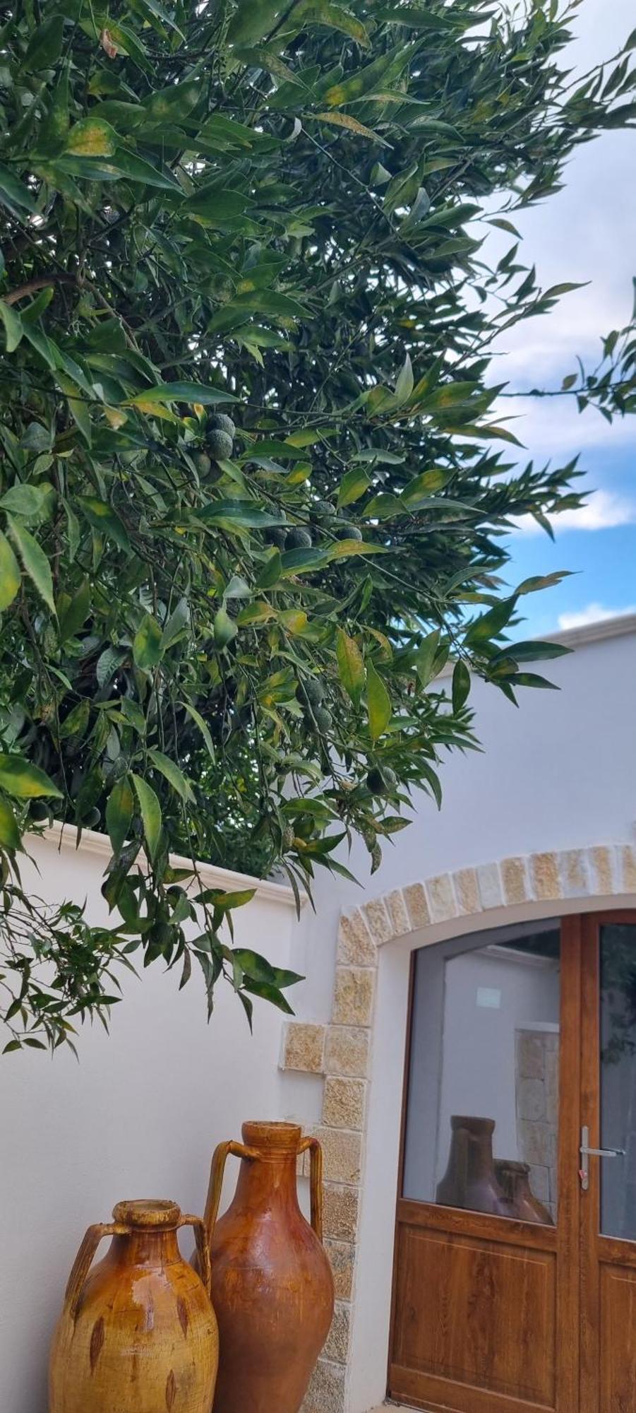 Villa Guajira Bari Extérieur photo